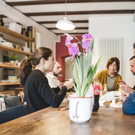 The Hostello Hostel *